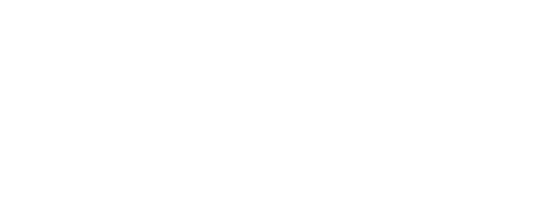 Logo en blanco de Selecorp