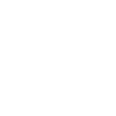 Logo en blanco de Selecorp